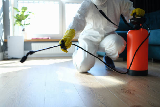 Reliable Odor Removal contractor in Waynesville, NC by Trauma Clean Pros